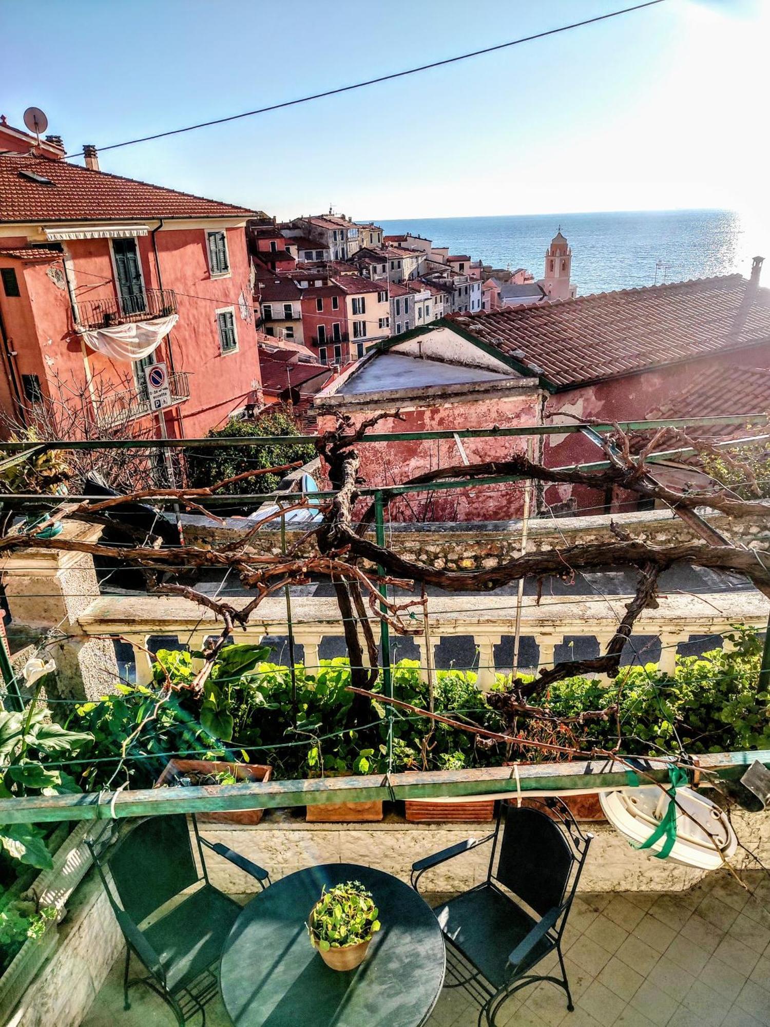 -La Terrazza Nel Vigneto- Golfo Dei Poeti Apartment Tellaro Ngoại thất bức ảnh